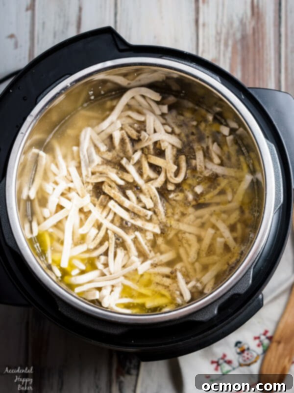 Instant Pot Turkey Noodles 3 Close-up of creamy Instant Pot Turkey and Noodles