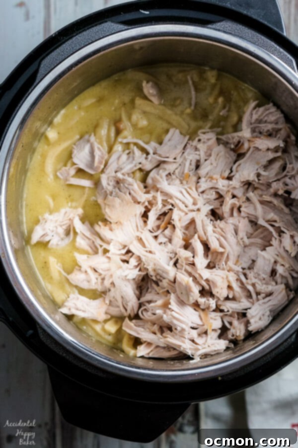 Instant Pot Turkey Noodles 4 Serving of Instant Pot Turkey and Noodles