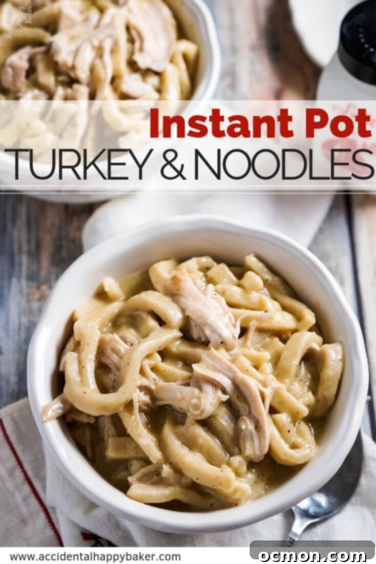 Instant Pot Turkey Noodles 7 Instant Pot Creamy Turkey and Noodles in a bowl, close-up shot