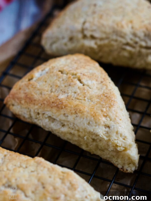 Eggnog Scones dough shaped into a 9-inch round, cut into 8 wedges, brushed with eggnog, and sprinkled with sugar on a baking sheet