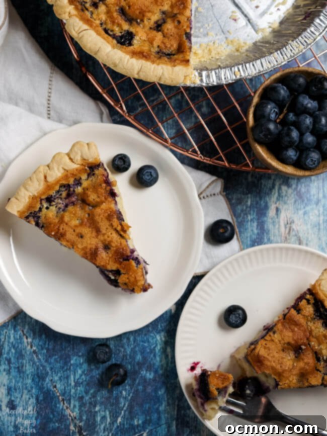 Tangy Blueberry Buttermilk Pie 4 Two generous slices of blueberry buttermilk pie, ready to be enjoyed, showing the creamy texture and fruit.