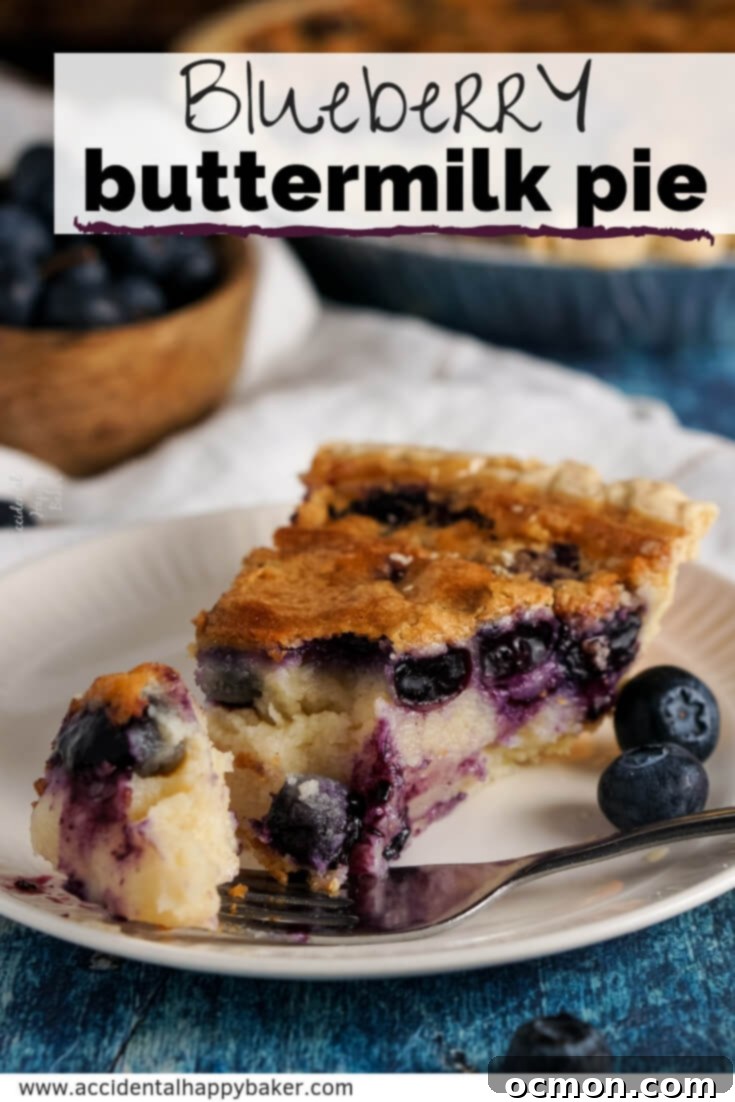 Tangy Blueberry Buttermilk Pie 7 A beautifully presented whole Blueberry Buttermilk Pie, ready to be sliced and served.