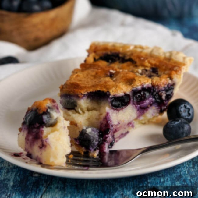 Tangy Blueberry Buttermilk Pie 8 img 5406 7