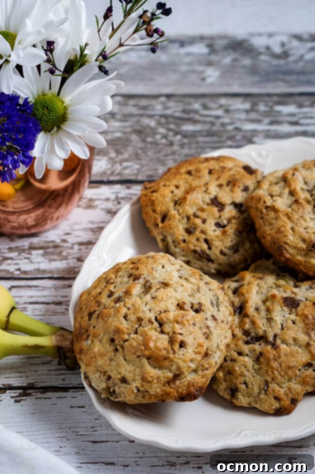 Banoffee Dream Scones 2 A beautifully arranged plate of freshly baked Banoffee Scones, golden brown with visible chocolate and toffee pieces.