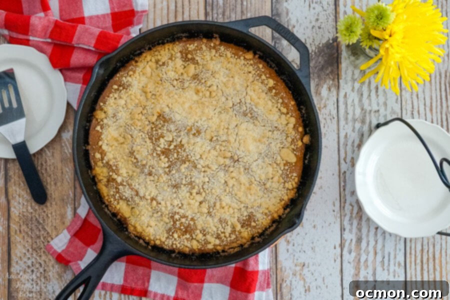 Deep Molasses Skillet Cake 4 A freshly baked Molasses Skillet Cake, golden-brown and steaming, rests in a cast iron skillet on a red and white checkered kitchen towel, exuding warmth and homemade comfort.
