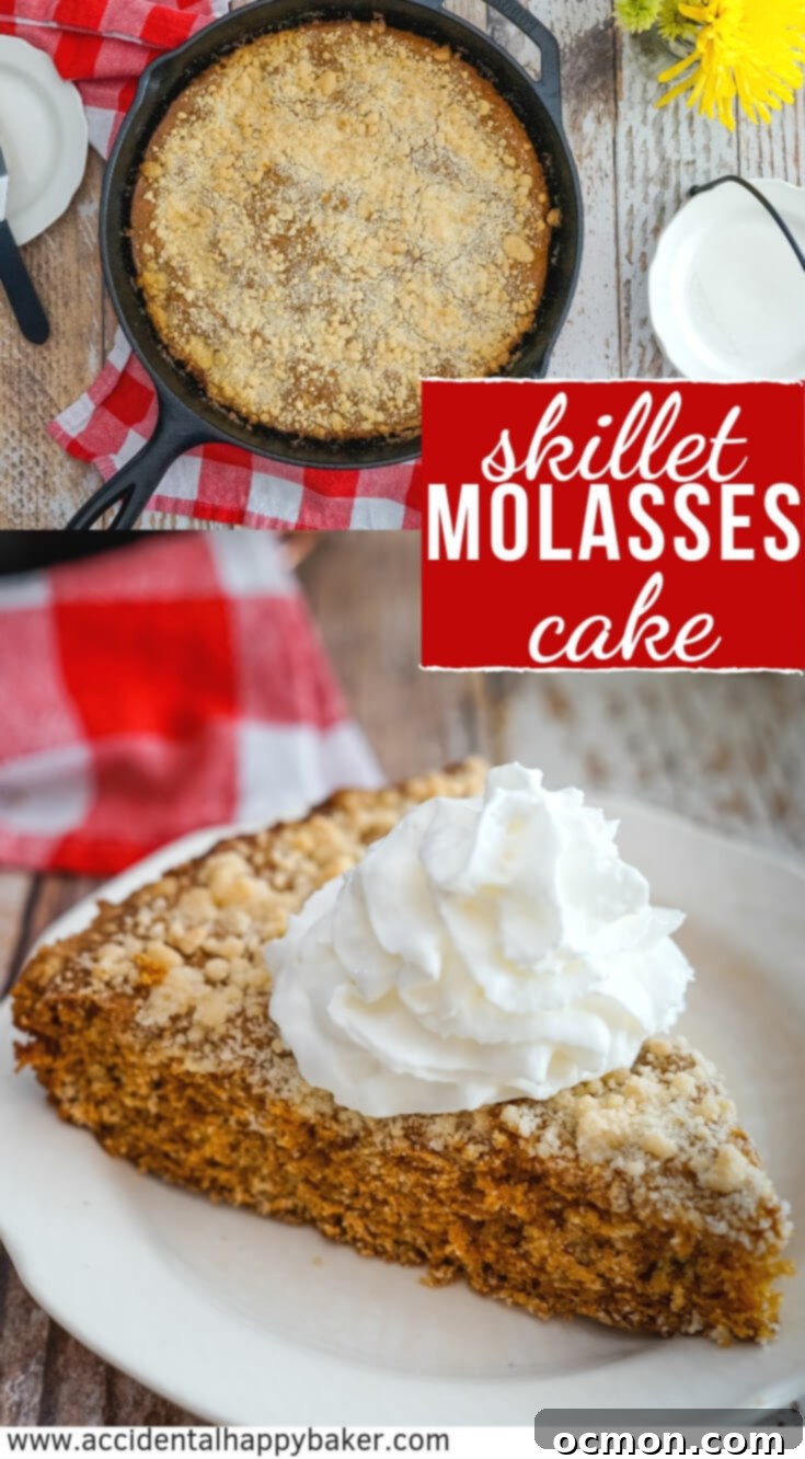 Deep Molasses Skillet Cake 8 Deep and rich molasses brings the flavor in this simple Molasses Skillet Cake. #skilletcake #molassescake #molasses #easyrecipe #castironskillet