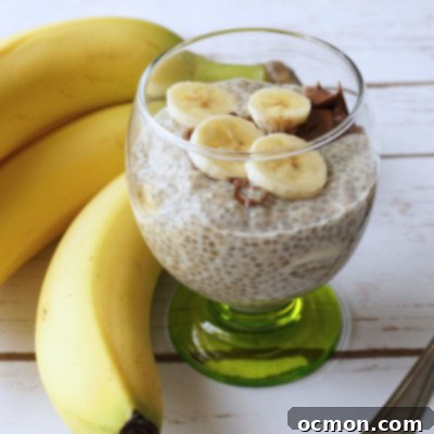 Banana Chocolate Chunk Chia Morning Pudding 2 img 598 4