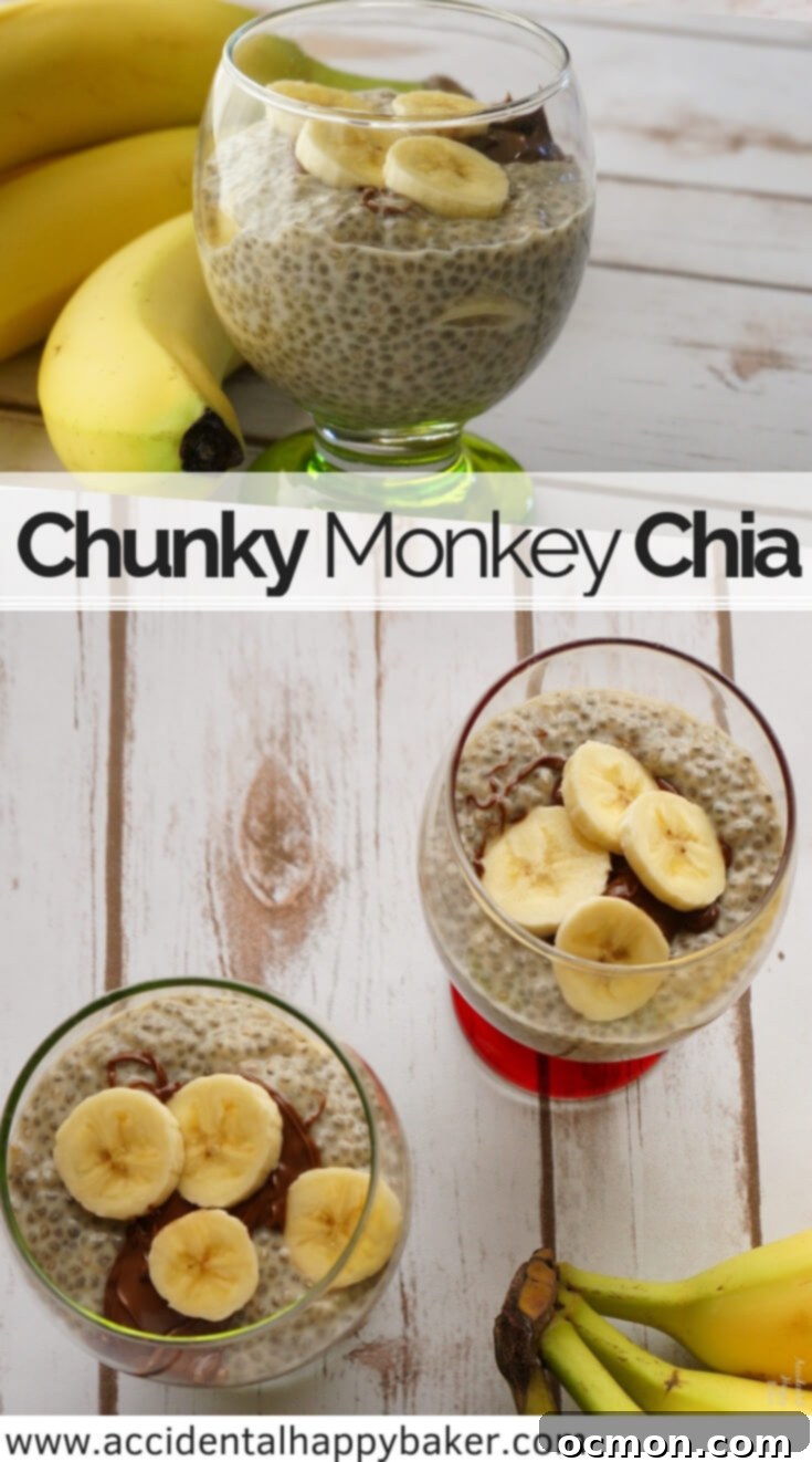 Banana Chocolate Chunk Chia Morning Pudding 3 Chunky Monkey Chia