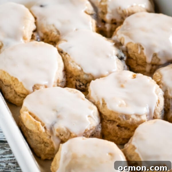 Delightful Cinnamon Raisin Biscuits 3 Close up shot of several cinnamon raisin biscuits on a baking tray.
