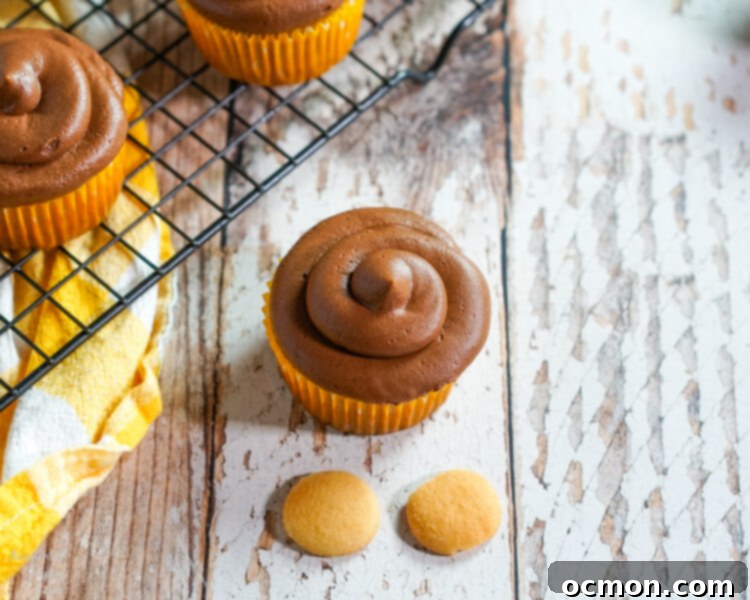 Hoot-Worthy Peanut Butter Chocolate Cupcakes 5 Collection of individual components used for decorating owl cupcakes, including Nilla wafers, Reese's Pieces, and peanuts, laid out for assembly.