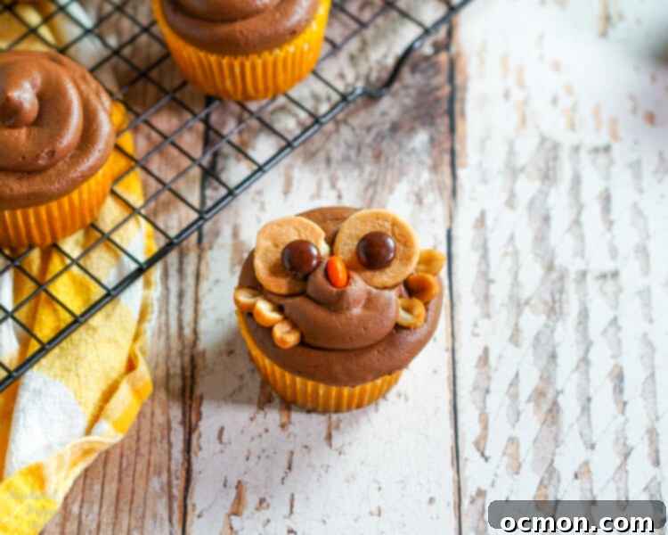 Hoot-Worthy Peanut Butter Chocolate Cupcakes 9 Brown Reese's Pieces candies added to the Nilla wafers, creating the pupils for the owl's eyes on a cupcake.