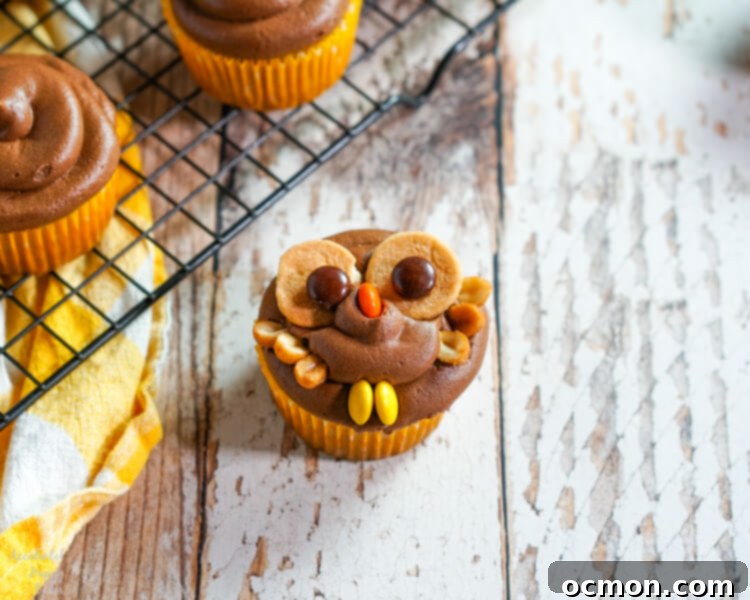 Hoot-Worthy Peanut Butter Chocolate Cupcakes 10 Honey roasted peanut halves delicately arranged on the sides of the cupcake to form the owl's wings, completing the festive look.