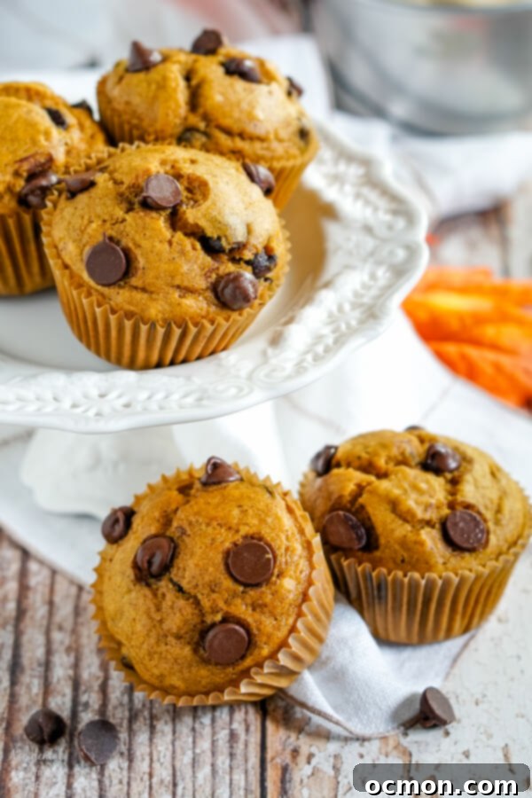Spiced Pumpkin Chocolate Chip Muffins 2 Warm pumpkin chocolate chip muffins with a cozy fall background.