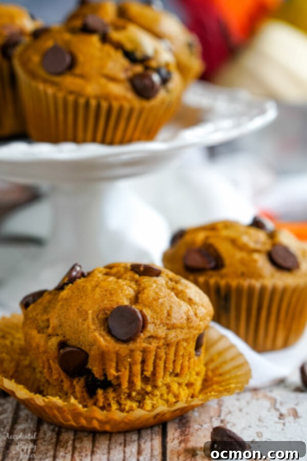 Spiced Pumpkin Chocolate Chip Muffins 6 A hand stirring pumpkin muffin batter with chocolate chips in a mixing bowl.