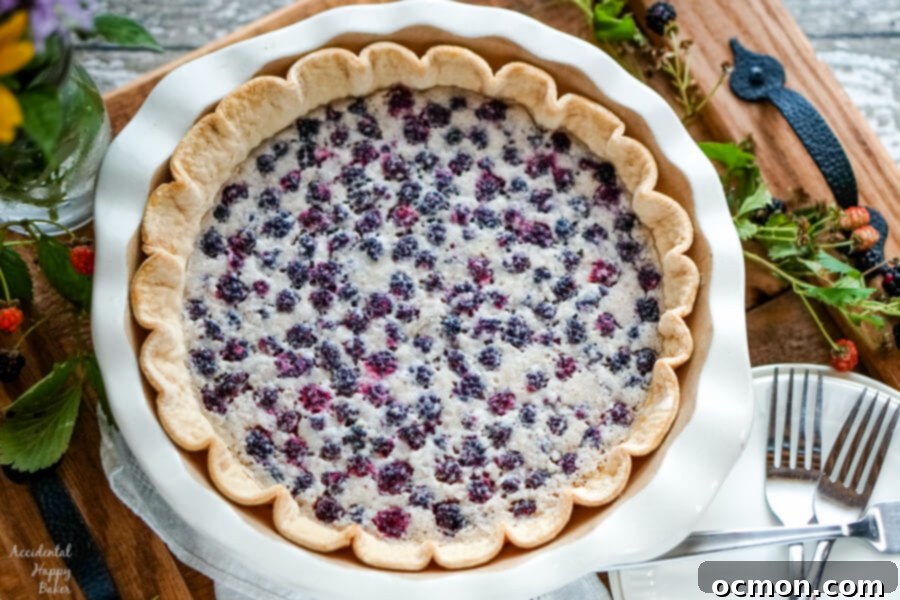 Luscious Blackberry Cream Pie 3 A full blackberry pie in a white pie pan on wooden tray surrounded by blackberries.