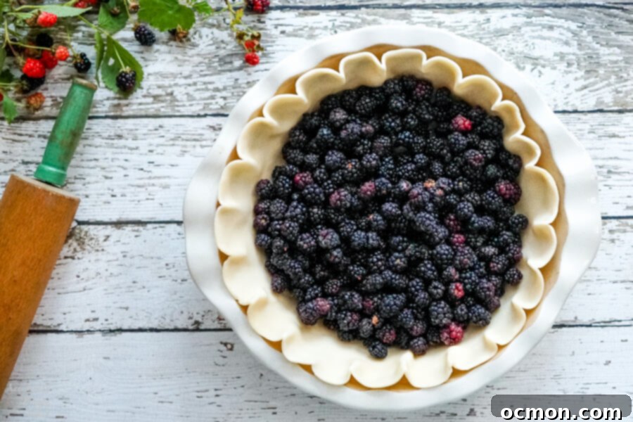 Luscious Blackberry Cream Pie 4 Frozen blackberries are added to the piecrust.