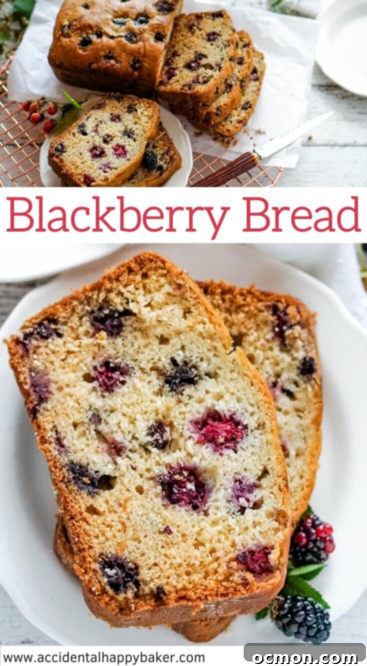 Blackberry Bliss Loaf 7 This one bowl blackberry quick bread recipe yields a loaf of sweet bread studded with berries and bursting with blackberry flavor.