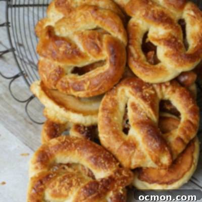 Savory Asiago Pretzel Twists 2 img 796 9