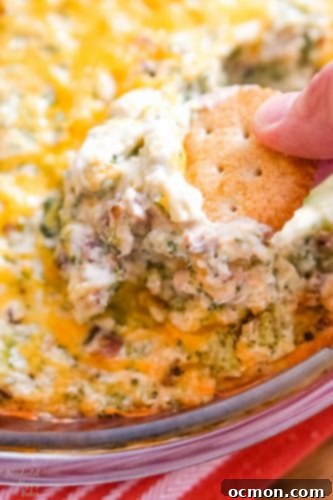 A cracker scooping up a bite of cheesy bacon and broccoli dip. 