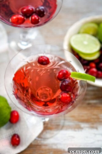 Sparkling Cranberry Moscato Punch 4 A close-up image showing the sparkling cranberry moscato punch in a glass, garnished with a lime wedge.
