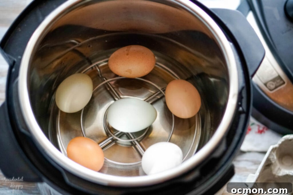 Several eggs neatly arranged on a rack inside an Instant Pot, ready for pressure cooking.