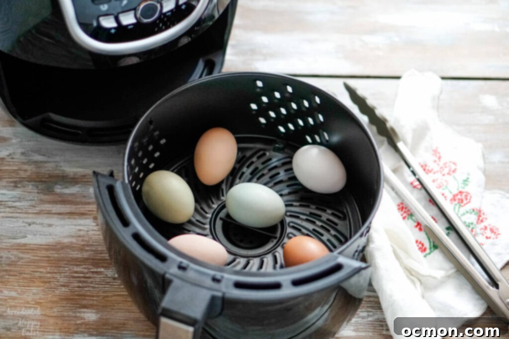 Several eggs arranged within the basket of an air fryer, ready to be cooked.