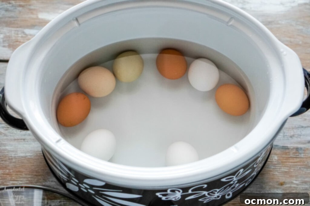Hard-boiled eggs gently cooking in a slow cooker, covered with water.