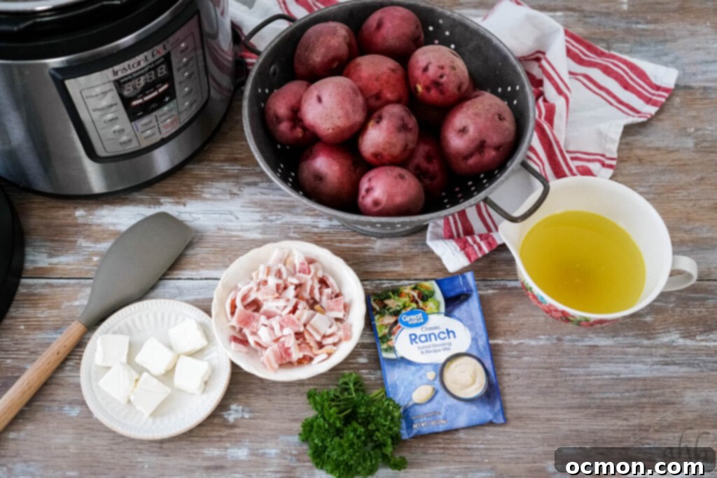 The ingredients needed to make instant pot ranch potatoes sitting next to the instant pot. 
