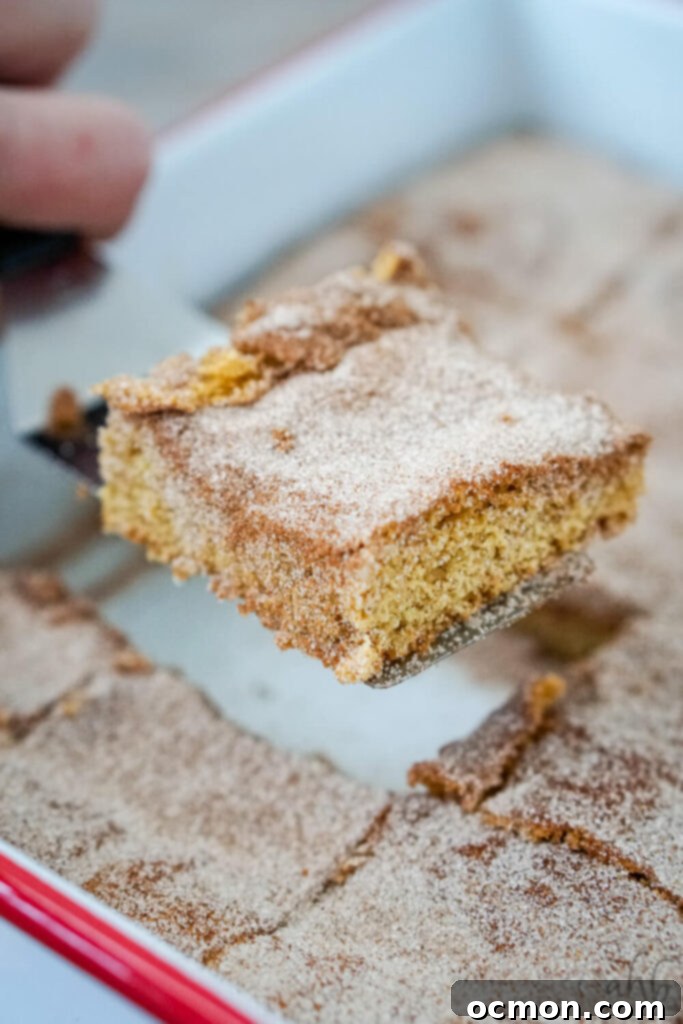 Cinnamon Sugar Churro Bars 3 A top-down shot of a 9x9 inch pan filled with baked churro bars, some cut into squares.