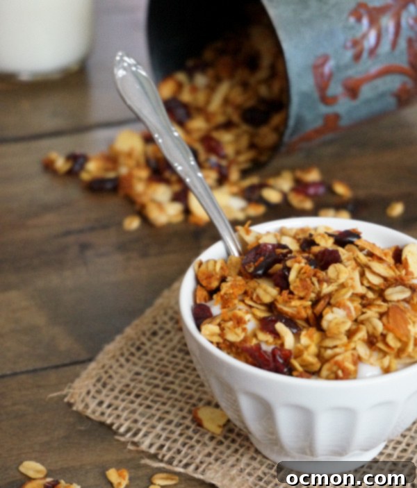 Cranberry Almond Granola recipe image
