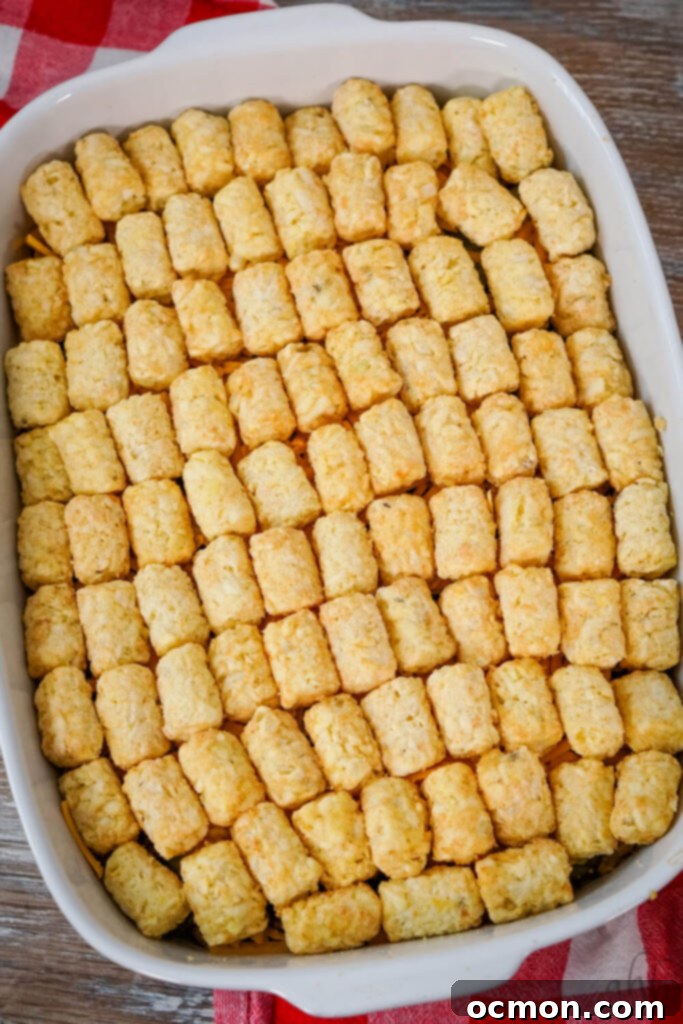 Loaded Big Mac Tater Tot Bake 10 Ground beef, pickles, and shredded cheddar are topped with tater tots in a white baking dish.