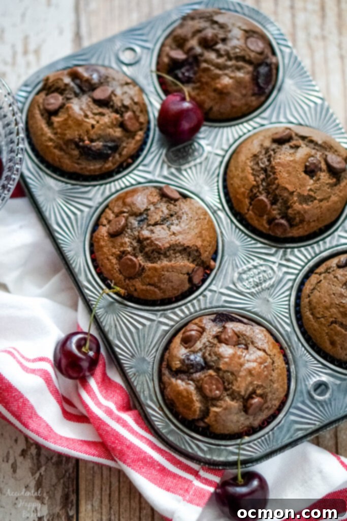 A fresh batch of baked Cherry Chocolate Muffins, golden brown and perfectly risen, cooling gently in their muffin tin, promising a delightful aroma and taste.