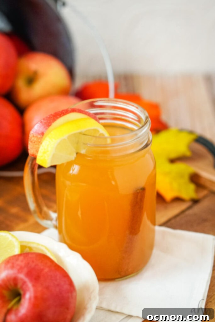 Sunburst Cider 3 A glass of Lemonade Cider garnished with an apple slice, a lemon slice, and a cinnamon stick.
